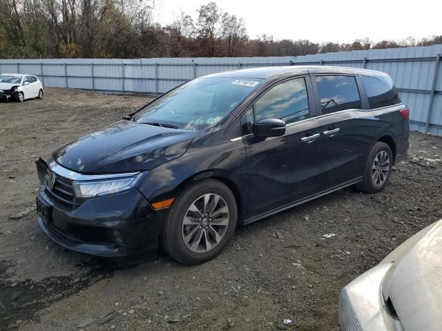 2024 Honda Odyssey EXL