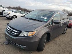 Honda Odyssey exl salvage cars for sale: 2014 Honda Odyssey EXL