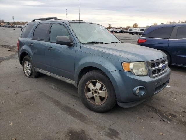 2011 Ford Escape XLT