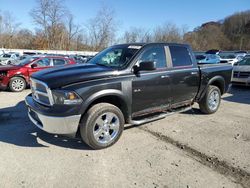 Dodge ram 1500 salvage cars for sale: 2010 Dodge RAM 1500