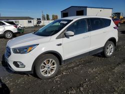 Ford Escape salvage cars for sale: 2017 Ford Escape SE