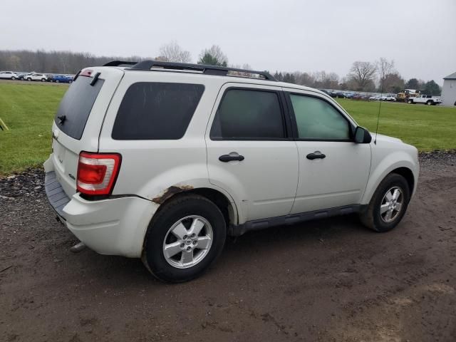 2009 Ford Escape XLT