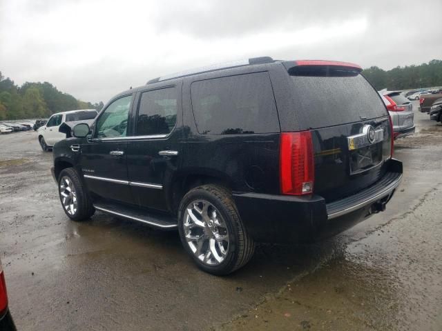 2008 Cadillac Escalade Luxury