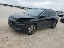 Ford Escape sel salvage cars for sale: 2020 Ford Escape SEL