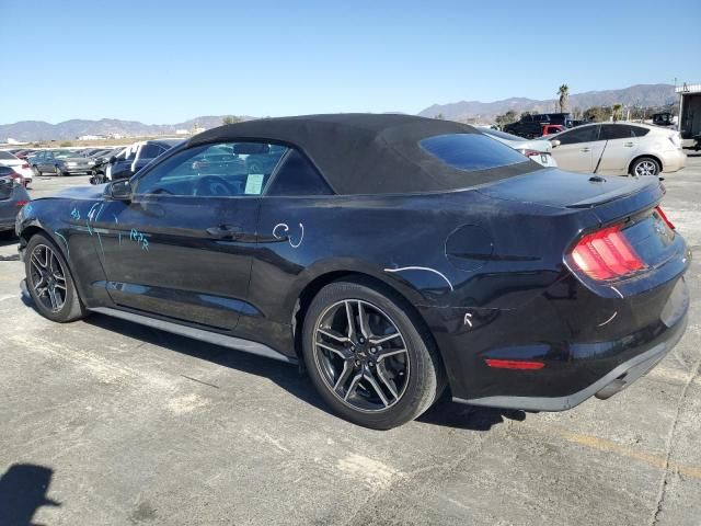 2019 Ford Mustang