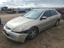 Honda salvage cars for sale: 2003 Honda Accord EX