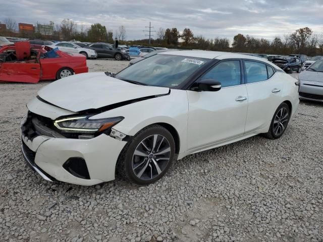 2023 Nissan Maxima SV