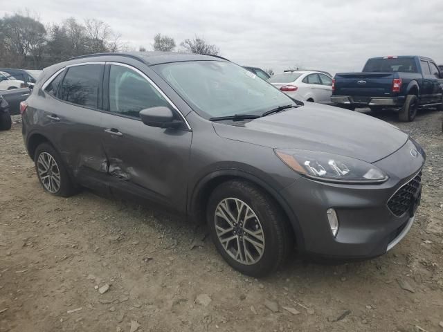 2021 Ford Escape SEL