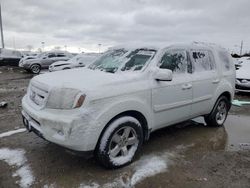 Honda Pilot salvage cars for sale: 2009 Honda Pilot EXL