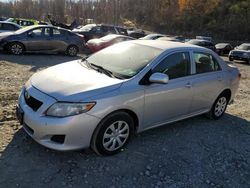 Toyota salvage cars for sale: 2009 Toyota Corolla Base