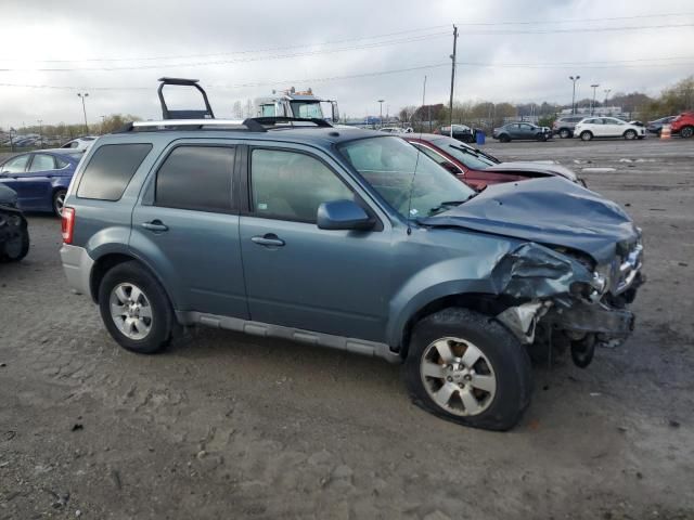 2010 Ford Escape Limited