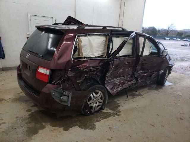 2007 Honda Odyssey EXL