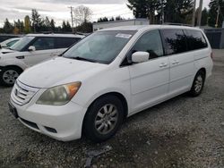 Honda Odyssey ex salvage cars for sale: 2008 Honda Odyssey EX