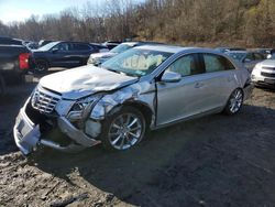 Cadillac XTS Vehiculos salvage en venta: 2013 Cadillac XTS Luxury Collection