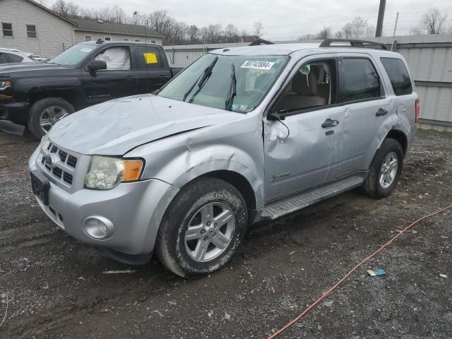 2011 Ford Escape Hybrid