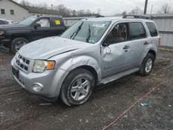 Ford Escape salvage cars for sale: 2011 Ford Escape Hybrid