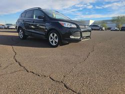 Ford Escape salvage cars for sale: 2014 Ford Escape SE