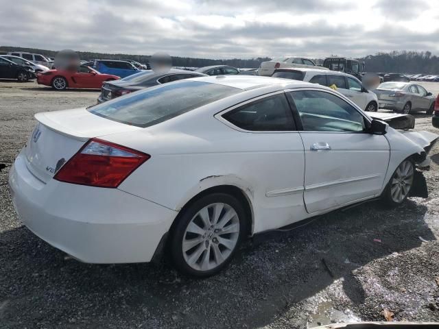 2009 Honda Accord EXL