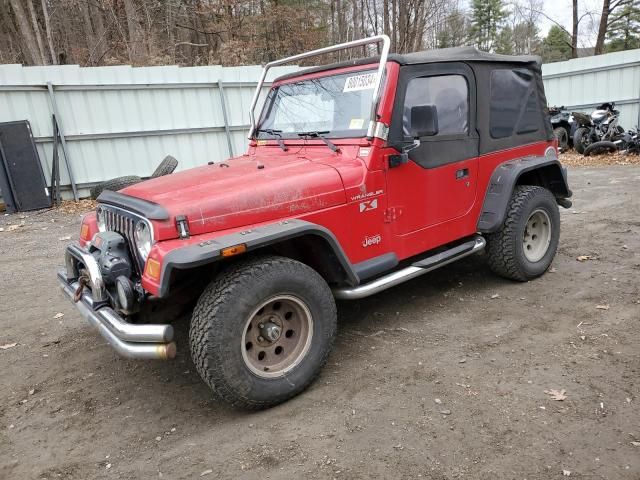 2002 Jeep Wrangler / TJ X