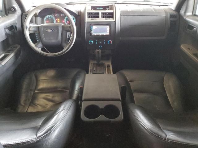 2008 Ford Escape XLT