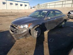 Honda Accord salvage cars for sale: 2012 Honda Accord EXL