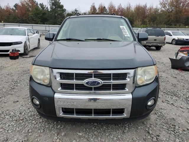 2009 Ford Escape Limited