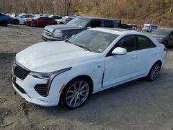 Cadillac ct4 salvage cars for sale: 2020 Cadillac CT4 Sport