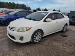 Toyota Corolla salvage cars for sale: 2013 Toyota Corolla Base