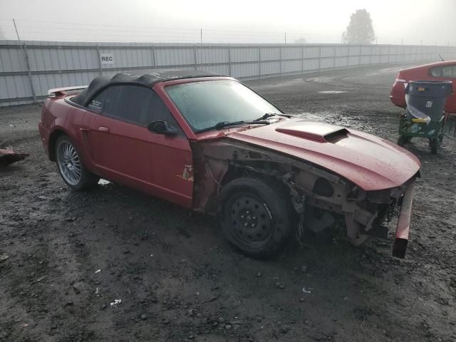 2003 Ford Mustang GT