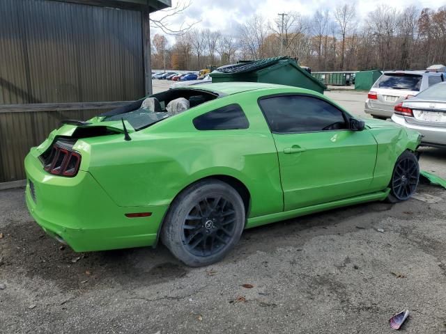 2014 Ford Mustang