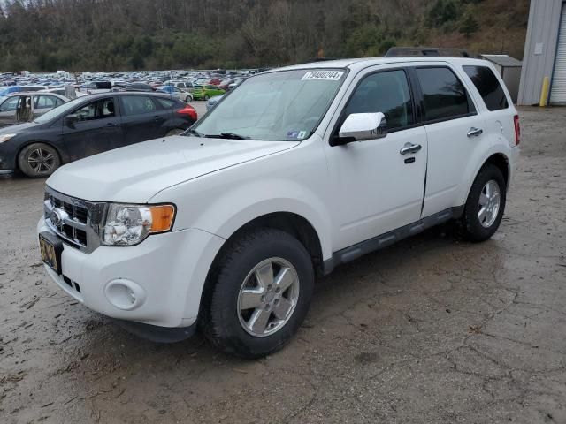 2011 Ford Escape XLT