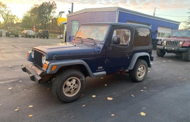 2003 Jeep Wrangler / TJ SE