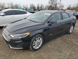 Ford salvage cars for sale: 2019 Ford Fusion SEL