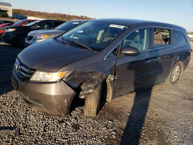 2014 Honda Odyssey EXL