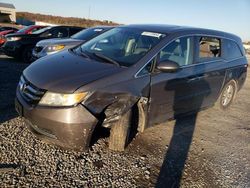 Honda Odyssey exl salvage cars for sale: 2014 Honda Odyssey EXL