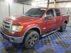 Ford salvage cars for sale: 2014 Ford F150 Supercrew