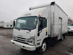 Isuzu salvage cars for sale: 2023 Isuzu NPR HD