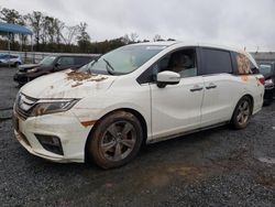 Honda Odyssey ex salvage cars for sale: 2019 Honda Odyssey EX