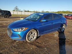 Hyundai Elantra salvage cars for sale: 2017 Hyundai Elantra SE