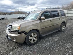 Salvage cars for sale from Copart Albany, NY: 2009 Honda Pilot EXL