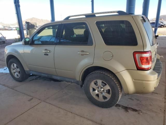 2011 Ford Escape Limited