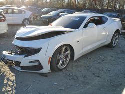 Chevrolet Camaro salvage cars for sale: 2019 Chevrolet Camaro SS