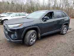 Toyota Vehiculos salvage en venta: 2023 Toyota Rav4 XLE