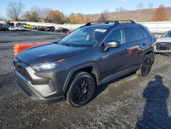 Salvage cars for sale from Copart Grantville, PA: 2021 Toyota Rav4 LE