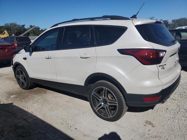 2019 Ford Escape SEL