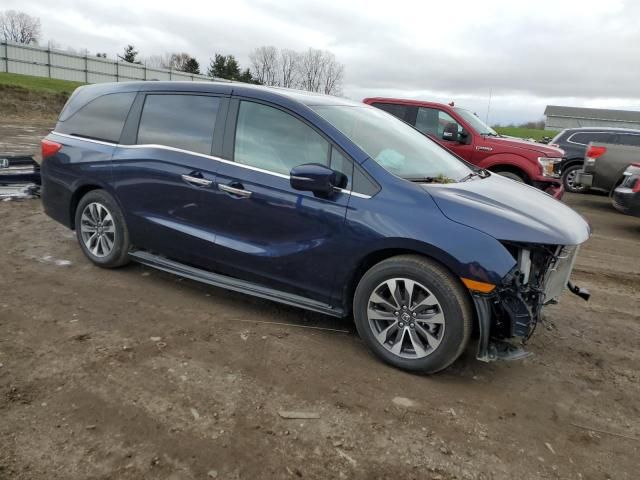 2023 Honda Odyssey EXL