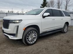 Cadillac salvage cars for sale: 2022 Cadillac Escalade ESV Luxury