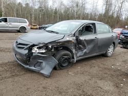 Toyota Corolla salvage cars for sale: 2011 Toyota Corolla Base