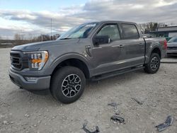 Ford f-150 salvage cars for sale: 2023 Ford F150 Supercrew