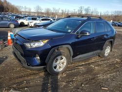 Toyota rav4 salvage cars for sale: 2021 Toyota Rav4 XLE